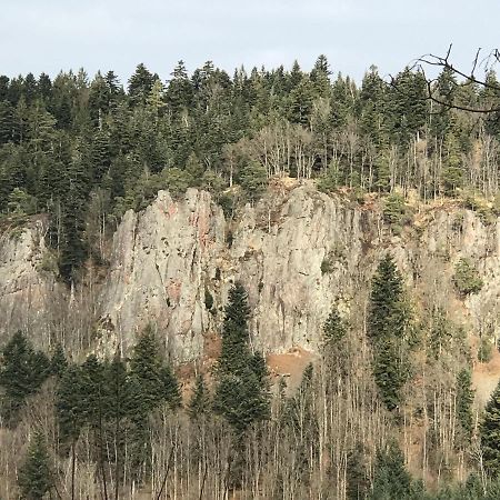 Ferienwohnungen Beilerstaedtle Oppenau Exterior foto